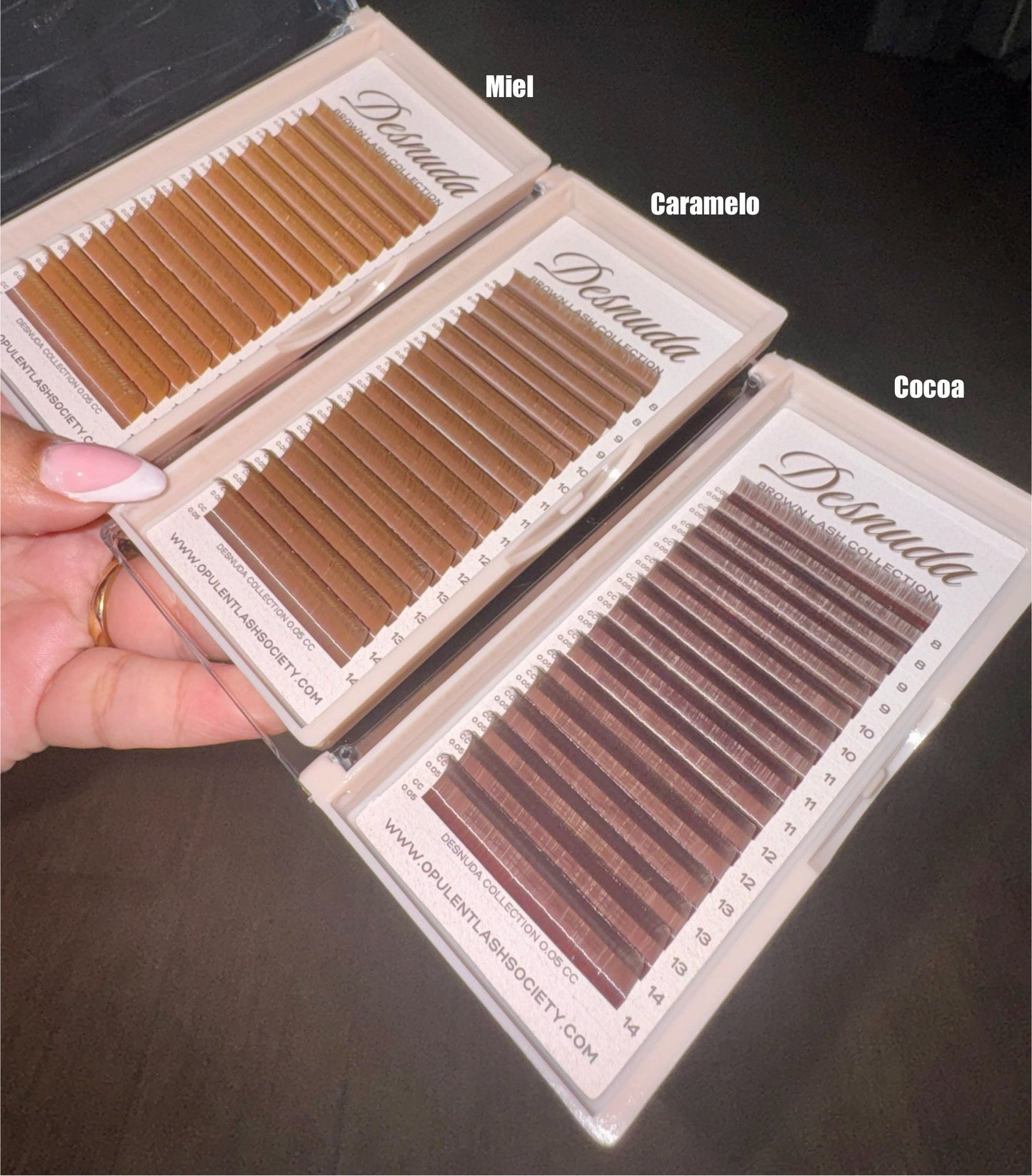Desnuda Collection — Brown Lash Trays