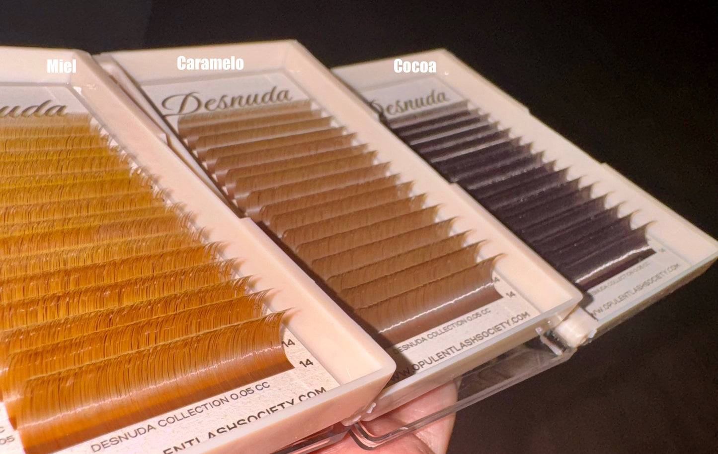 Desnuda Collection — Brown Lash Trays