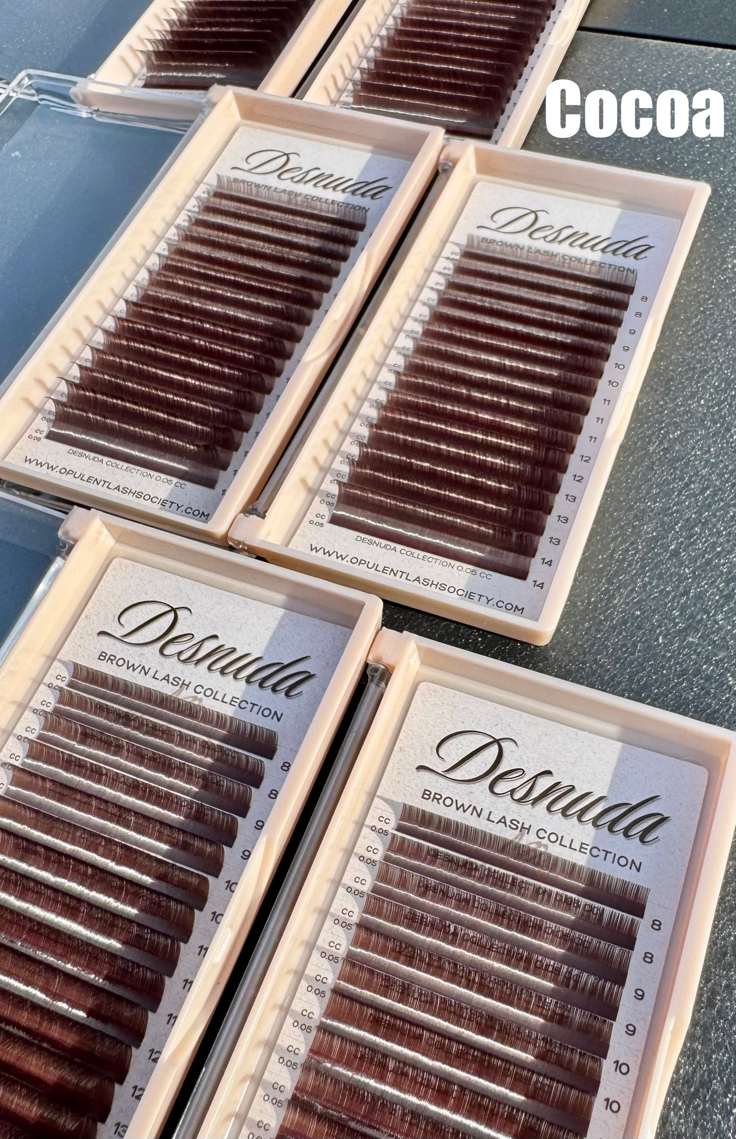 Desnuda Collection — Brown Lash Trays