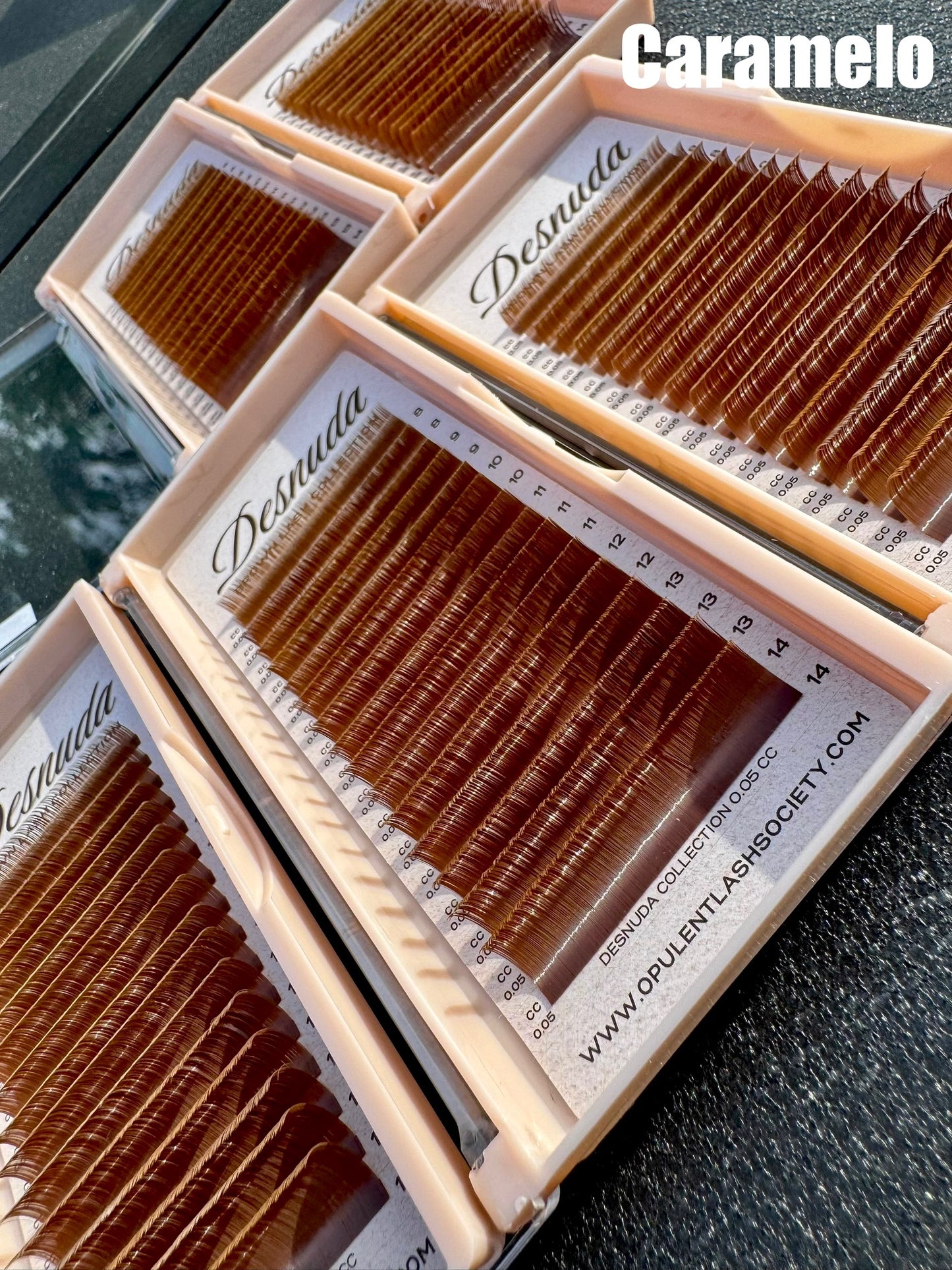 Desnuda Collection — Brown Lash Trays