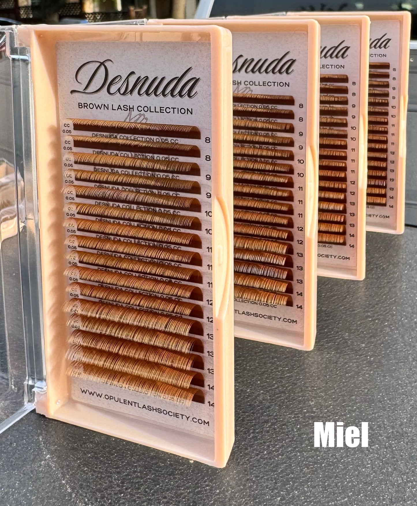 Desnuda Collection — Brown Lash Trays