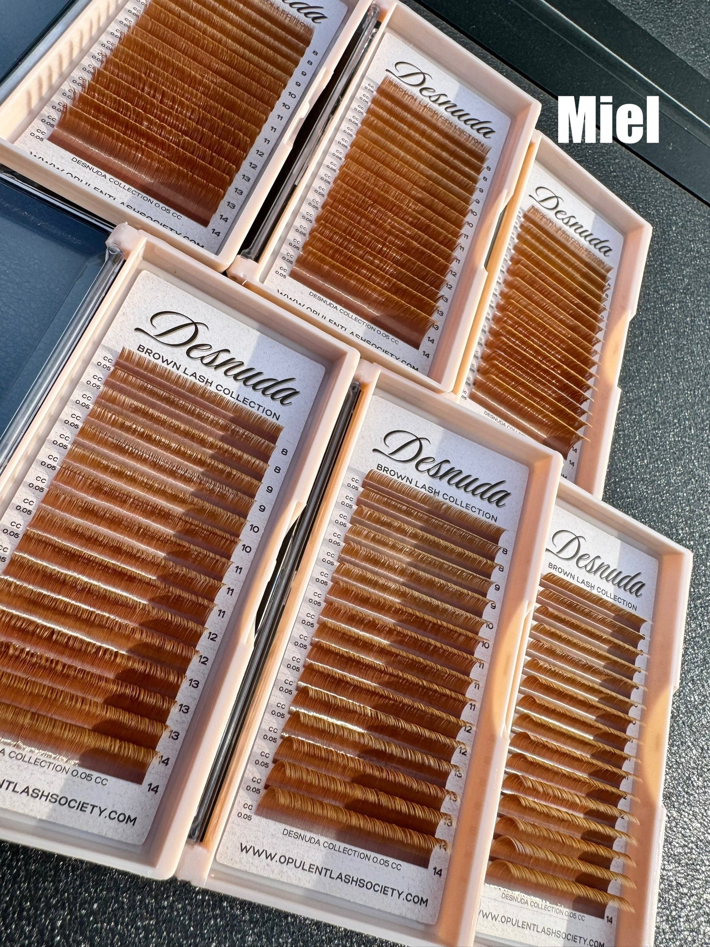 Desnuda Collection — Brown Lash Trays